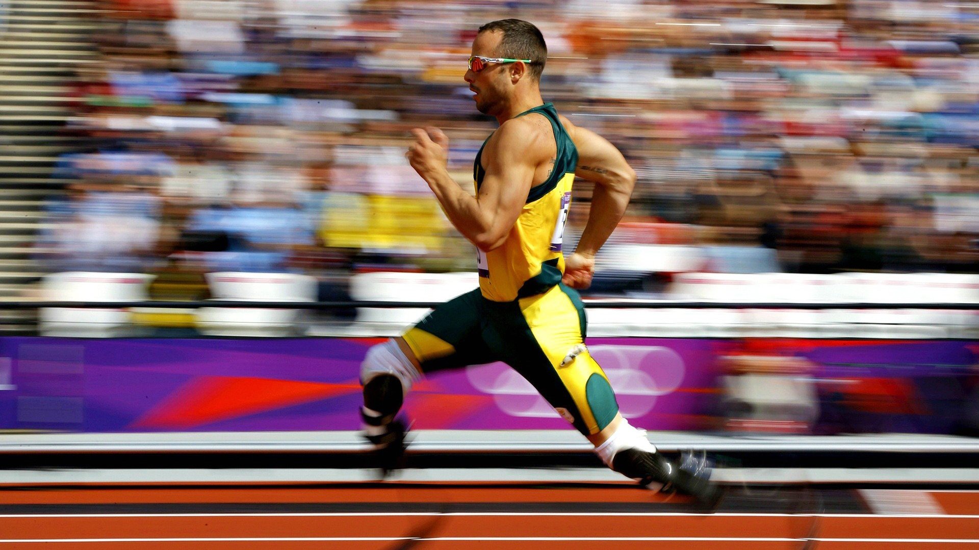 蝶泳项目中立代表队A表现抢眼,蝶泳亚军